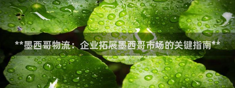 28圈软件有什么用：**墨西哥物流：