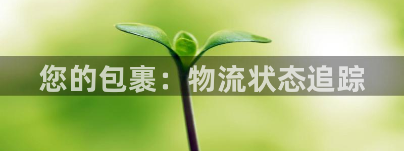 28圈模拟器在线使用：您的包裹：物流