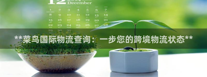 28圈可以退款吗：**菜鸟国际物流查