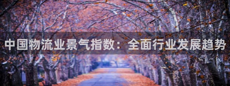 28圈游戏