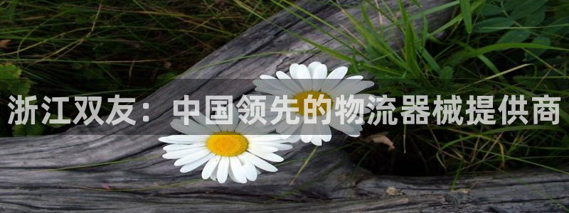 28圈旗下