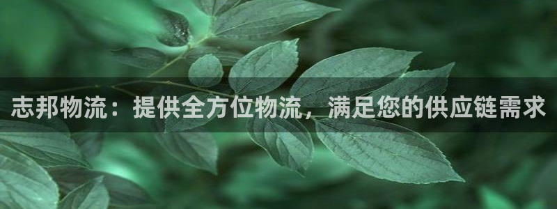 28圈开奖预测
