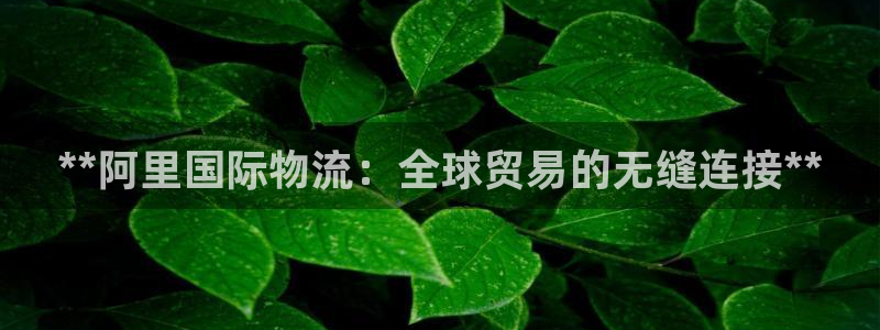 28圈官网平台