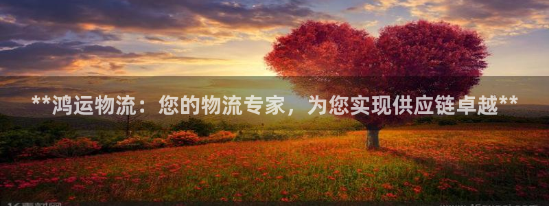 28圈模拟器在线玩