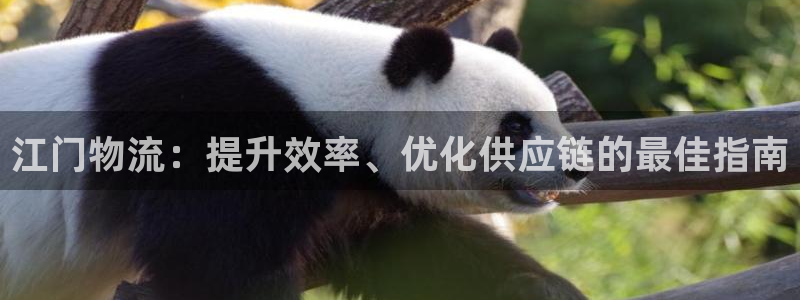28圈娱乐官网网页下载