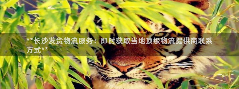 28圈预测加拿大