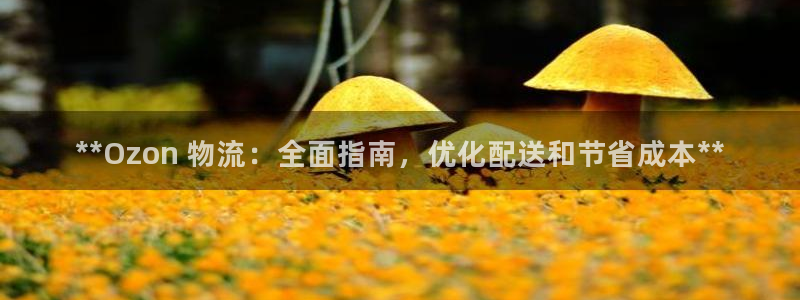 28圈软件是什么