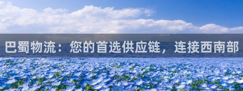 28圈是啥：巴蜀物流：您的首选供应链
