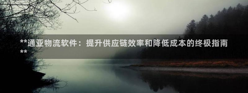 28圈cn：**通亚物流软件：提升供