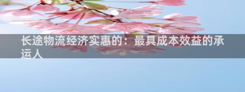 28圈官网多少