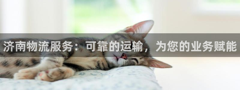 28圈官网开奖结果预测