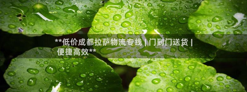 28圈充值不处理