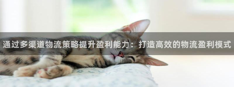 28圈官网网站