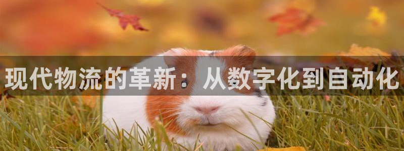 28圈娱乐官网网页入口：现代物流的革