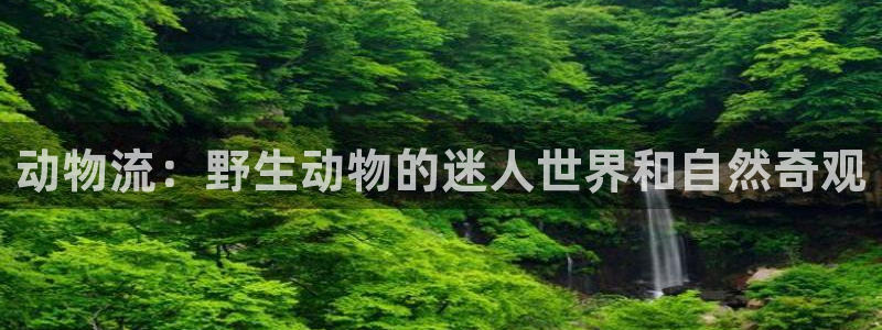 28圈充值为什么充不了