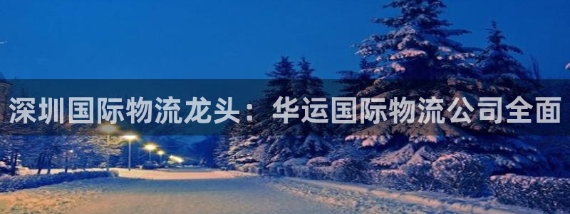 28圈官网网站：深圳国际物流龙头：华