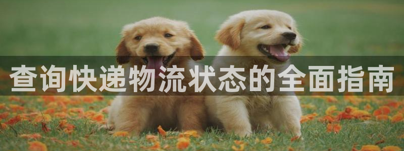 28圈自行车搞笑图片
