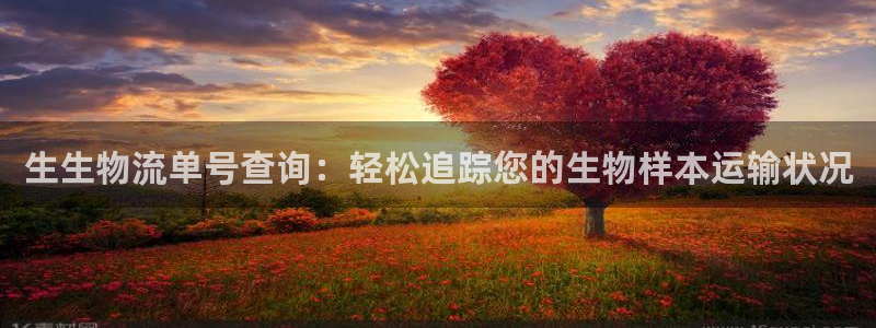 28圈加拿大pc预测