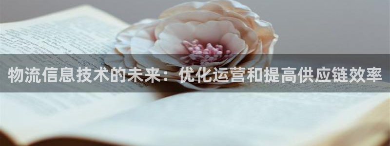 28圈.ccm正版：物流信息技术的未
