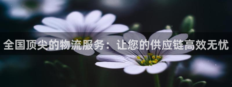 南宫28圈官网：全国顶尖的物流服务：