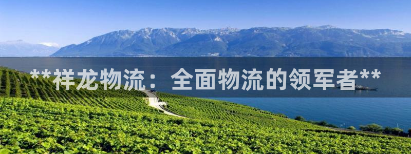 28圈app注册地址：**祥龙物流：
