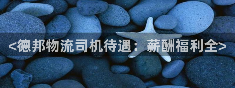 28圈pg麻将胡了