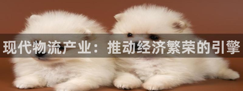 28圈p扣除：现代物流产业：推动经济