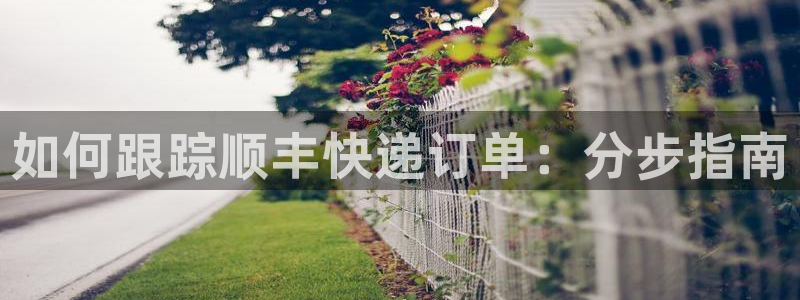 28圈链接多少：如何跟踪顺丰快递订单