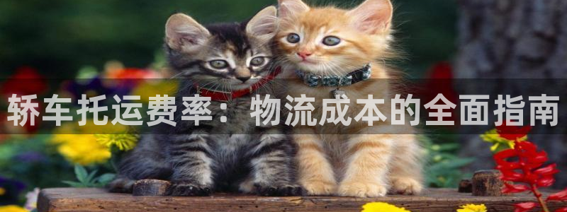 28圈链官网