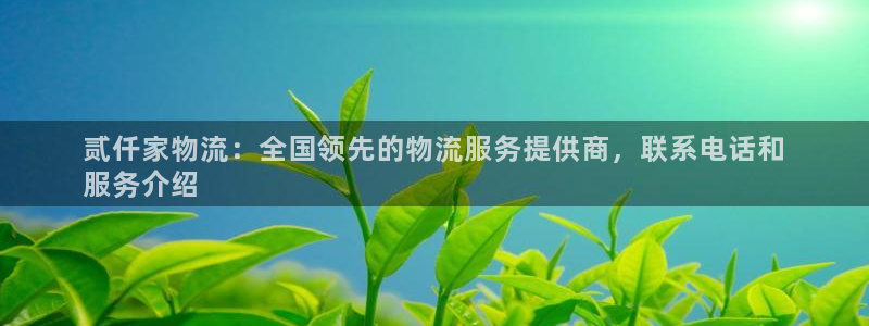 28圈软件