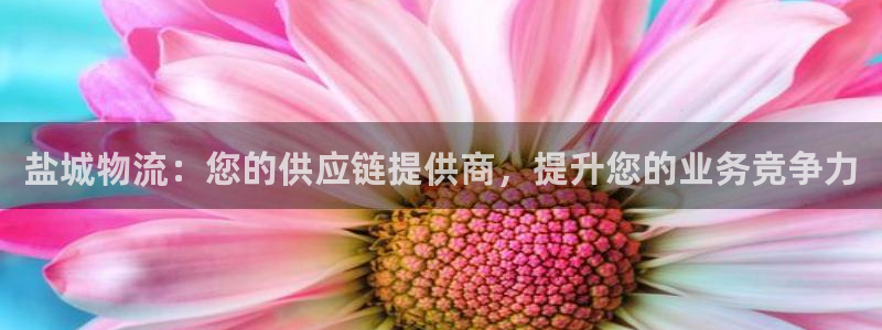 28圈p扣除：盐城物流：您的供应链提