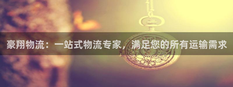 28圈连接：豪翔物流：一站式物流专家
