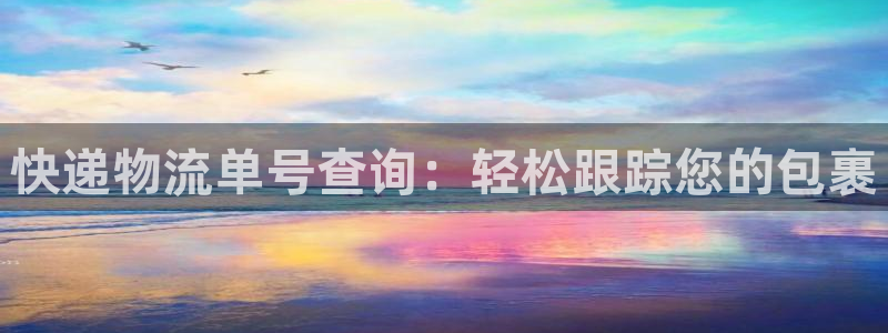 28圈注册网站加拿大：快递物流单号查