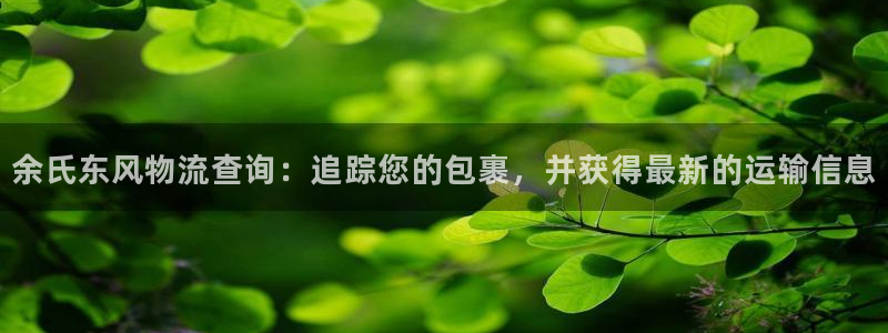28圈起来的符号：余氏东风物流查询：