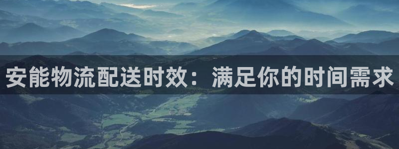 28圈是啥：安能物流配送时效：满足你