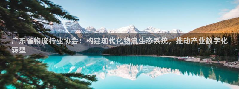 28圈充值不处理会怎么样