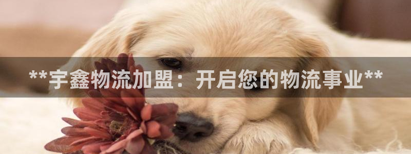 28圈登录网：**宇鑫物流加盟：开启
