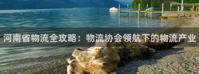 28圈自行车图片大全