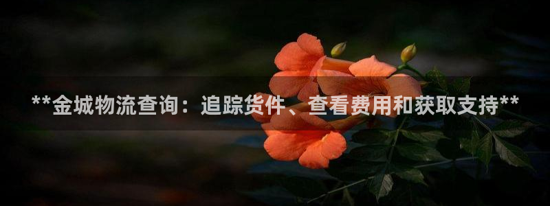 28圈注册网页版：**金城物流查询：