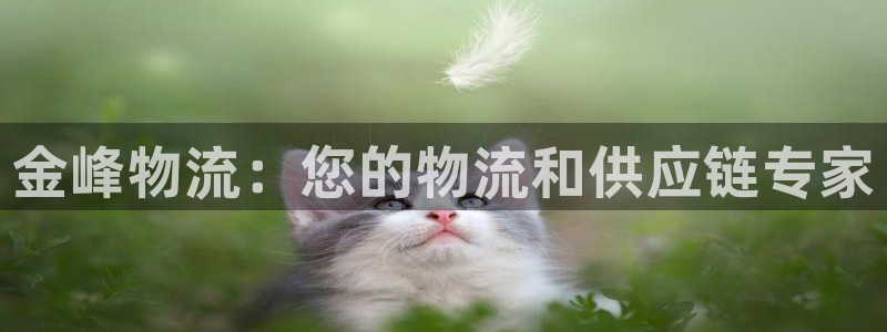 28圈辅助：金峰物流：您的物流和供应