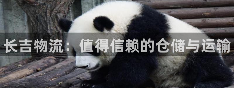 28圈注册过了警察知道吗：长吉物流：