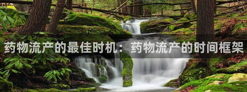 28圈黑钱