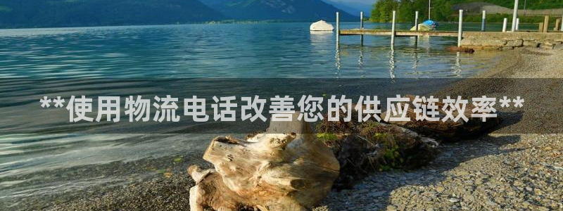 28圈娱乐官网网页入口：**使用物流