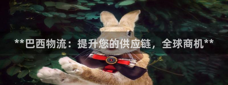 28圈注册上限是啥意思：**巴西物流