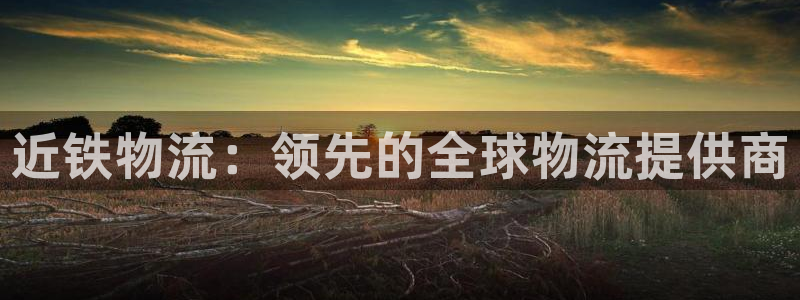 28圈下载体育：近铁物流：领先的全球