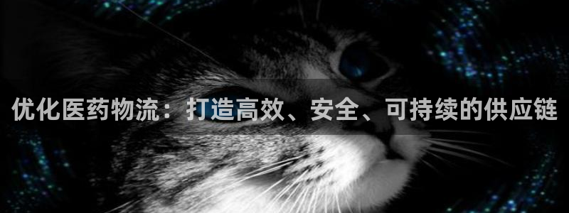 28圈下载不了