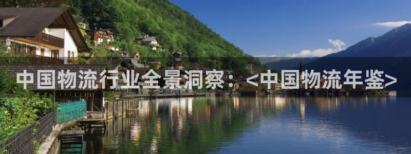 28圈登录网：中国物流行业全景洞察：