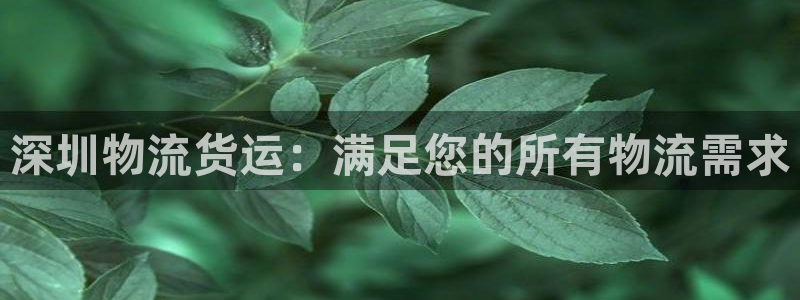28圈注册网页版：深圳物流货运：满足
