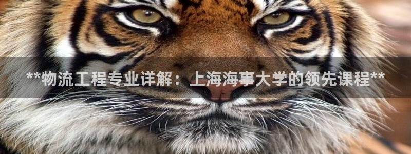 28圈ccm游戏