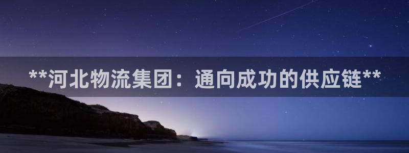 28圈昵称：**河北物流集团：通向成